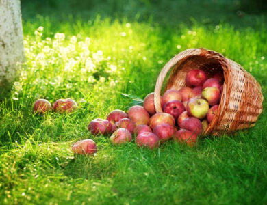 Food Safety: Choose Unprocessed Food Recipes Image